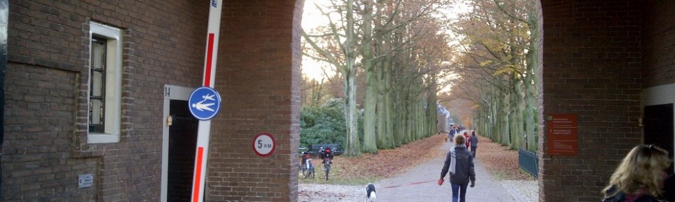 121119 slagboom Bloemendaal-2012